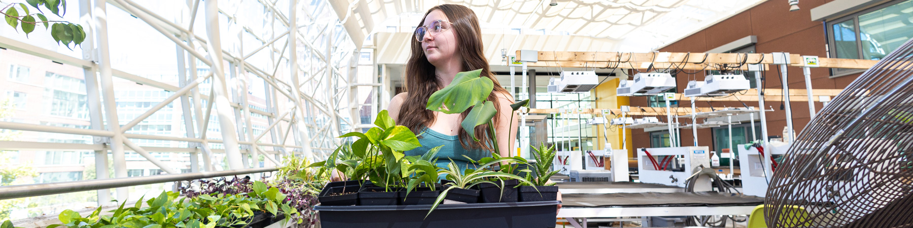 A young student with long hair and wearing glasses, looks to her right as she carries a tray of plants in the School of Environmental Sustainability ecodome greenhouse.