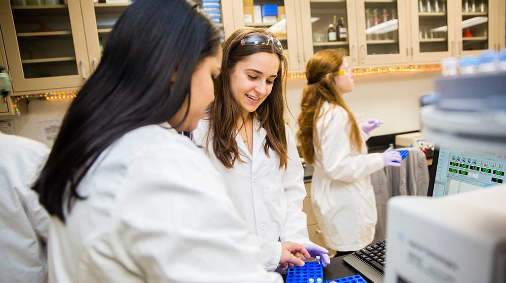 Two students adding sample vials to a gas chromatograph