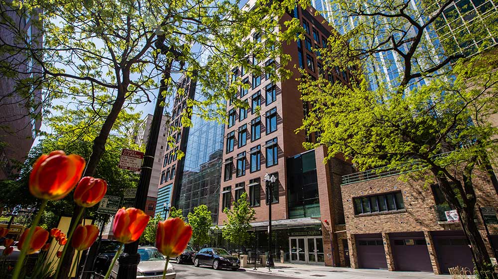 Schreiber Center with tulips in the foreground