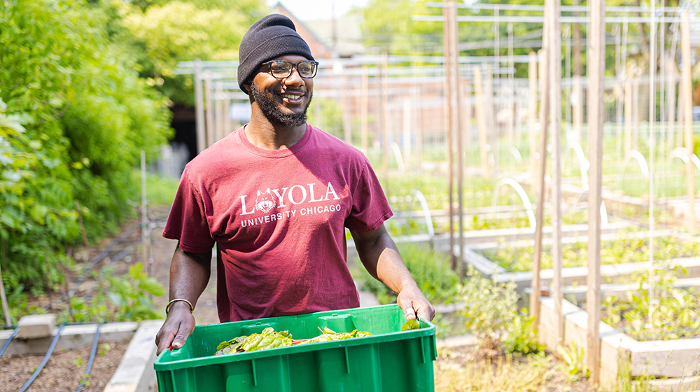 Urban agriculture student Cameron Anderson working in the SES garden