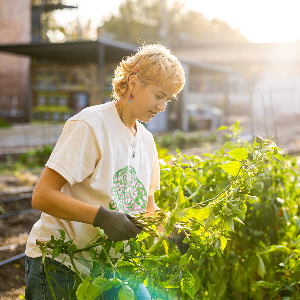 student working in an urban farm