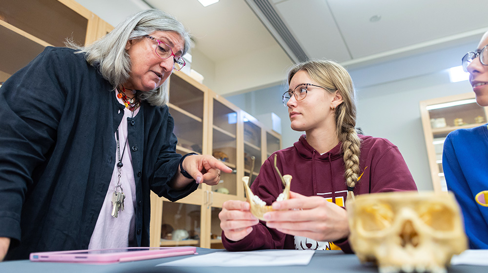  Students in Anne Grauer's anthropology class examine human bone models and fragments.