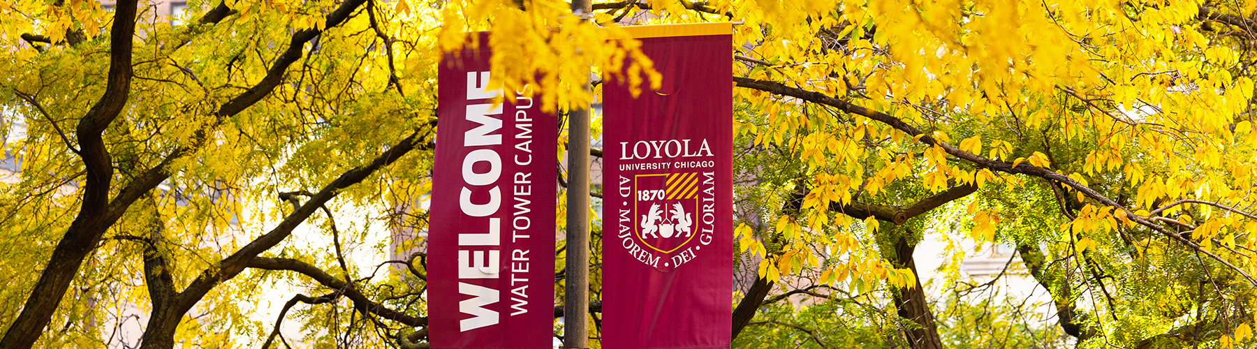 Looking up at Loyola University Chicago street banners among trees with fall foliage.